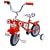 Roary Wheeled 10in Bike without Chain
