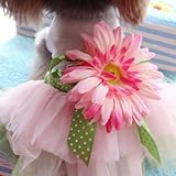 PanDaDa Dog Daisy Gauze Tutu Dress Skirt Pet Dog Cat Princess Clothes Bowknot Dress M