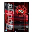 Dodge SuperBee Red Logo Framed Photograph - 8x10"