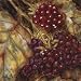 Nicole Etienne Ripening Berries 12 x 12 Print