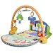 Fisher-Price Discover-n-Grow Kick and Play Piano Gym