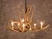 Mule Deer 6 Antler Chandelier