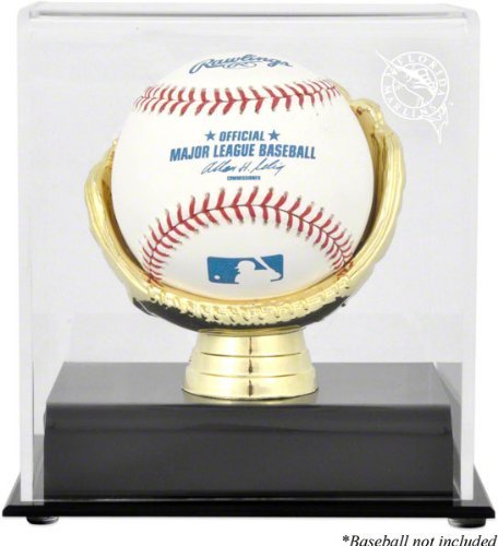 Florida Marlins Gold Glove Single Baseball Logo Display Case
