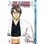 Bleach 12