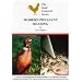 Modern Pheasant Farming (Gold Cockeral Series)