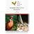 Modern Pheasant Farming (Gold Cockeral Series)