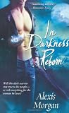 In Darkness Reborn (Paladins of Darkness, Book 3)