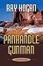 Book Panhandle Gunman: A Western Duo (Five Star Western Series)