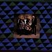 Little Feat Let It Roll tabs review