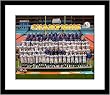 2007 Indianapolis Colts NFL Framed 8x10 Photograph Super Bowl XLI Team Photograph