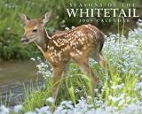 Seasons of the Whitetail 2009 Calendar