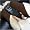 Sumo Air Good Vibrations Jumbo Inflatable Massage Chair