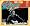 Live from Austin, TX '78 [CD/DVD]