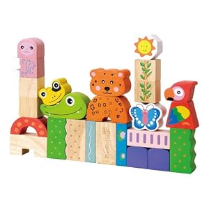 Maxim EverEarth Amazon Building Blocks