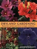 Dryland Gardening: Plants that Survive and Thrive in Tough Conditions
