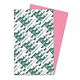 Wausau Astrobrights Heavy Duty Paper - 24 lb - 11 X 17 Inches - Pulsar Pink - 500 Sheets 22623