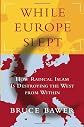 While Europe Slept