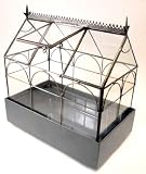 Tabletop Greenhouse Wardian Case Terrarium
