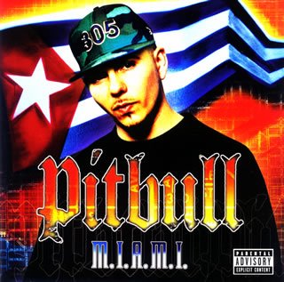 Pitbull - Shake It Up (Oobie) Lyrics - Zortam Music