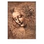 (22x28) Leonardo da Vinci (Female Head, La Scapigliata) Art Poster Print