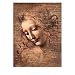 (22x28) Leonardo da Vinci (Female Head, La Scapigliata) Art Poster Print