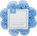 Spongeables Spongelle Bodywash Infused Sponge ( Blue Daisy ) Citrus Accord/Musk Infusion