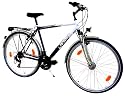 LANDER Herren Trekking Fahrrad 28" Zoll (=71,1cm) 21 Gang Shimano Federung Nabendynamo StVZO