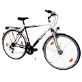 LANDER Herren Trekking Fahrrad 28" Zoll (=71,1cm) 21 Gang Shimano Federung Nabendynamo StVZO