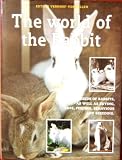 The World of the Rabbit