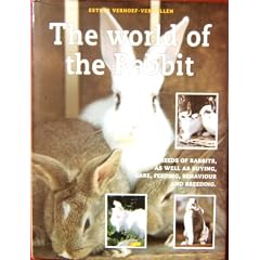 The World of the Rabbit