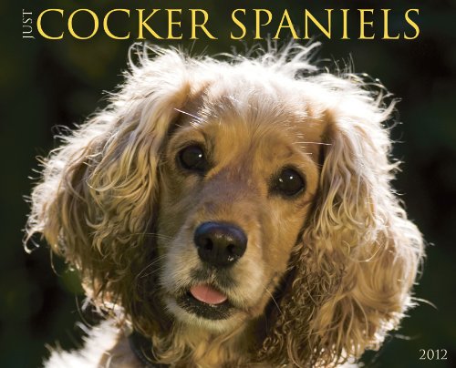 Cocker Spaniels 2012 Calendar (Willow Creek))