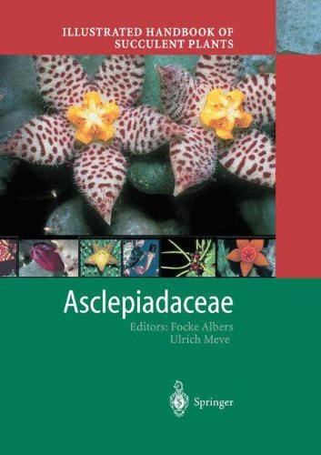 Illustrated Handbook of Succulent Plants: Asclepiadaceae: Asclepiadacceae