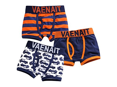 JN&LULU Baby Toddler Kids Boxer Brief 3 Pack Underwear Set-Cute (2-3YR)