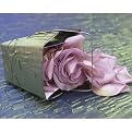 Rose Petals Gallery Wrapped Canvas - 22x28"