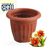 Eigenschaften   / Blumentopf Casa terracotta, 30cm