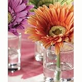 Flower Fusion Silk Gerber Daisies in Clear Glass Holder - Set of 12 Orange by Zodax