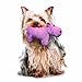 Mighty Jr. Herb Hippo Dog Toy, Purple