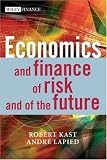Economics and Finance of Risk and of the Future (The Wiley Finance Series)