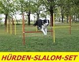 AGILITYÜBUNGSHÜRDENSLALOMSTANGENSET IN