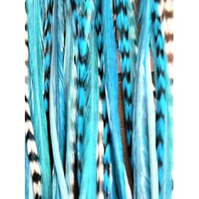 Range From 4"-6" Blue with Turquoise with Best Quality Salon Feathers for Hair Extension 5 Feathers