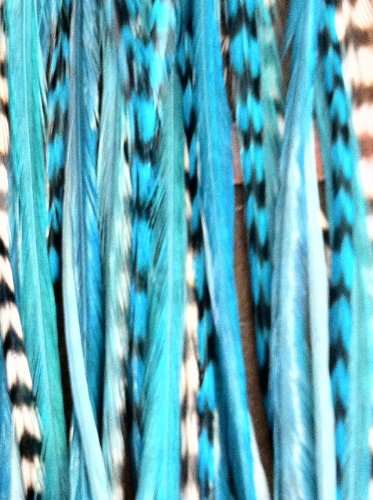 Range From 4-6 Blue 5 Feathers