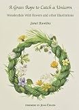 A grass rope to catch a unicorn : Wensleydale wild flowers and other illustrations