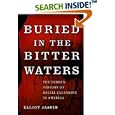 Buried in the Bitter Waters: The Hidden History of Racial Cleansing in America by Elliot Jaspin