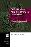 Faithfulness and the Purpose of Hebrews: A Social Identity Approach (Princeton Theological Monograph)