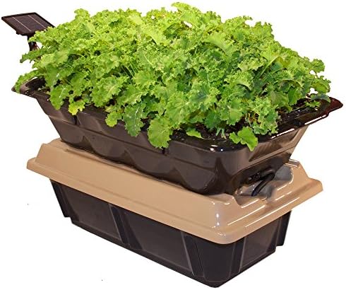 SimGar UNO - Self Watering - Container Garden Grow Box