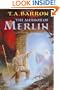 The Mirror of Merlin (The Lost Years of Merlin Book 4)