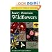 A Field Guide to Rocky Mountain Wildflowers: Northern Arizona and New Mexico to British Columbia (Peterson Field Guide)
