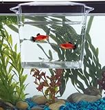 KollerCraft TOM Dip & Pour Multi-Purpose Container