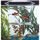 KollerCraft TOM Dip &amp; Pour Multi-Purpose Container