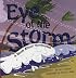 Eye of the Storm: A Book About Hurricanes (Amazing Science: Weather)